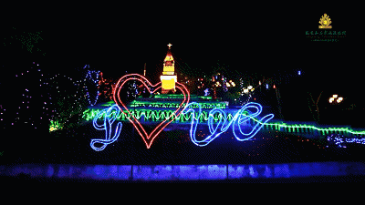 【2月5日统一亮灯】