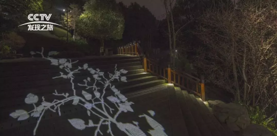 照母山森林公园