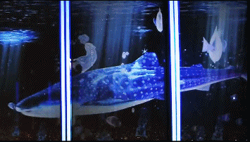实景与3d虚拟结合 这奇幻