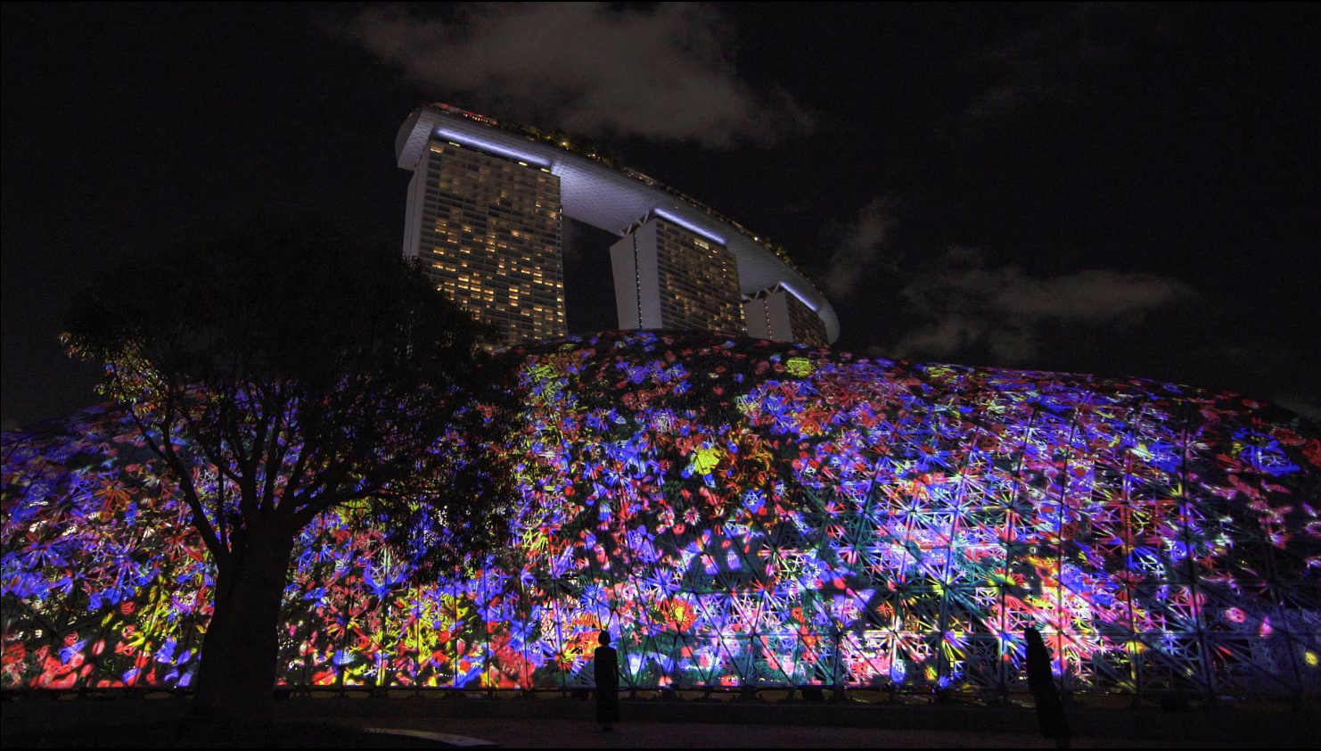 《花与人 - 矩群, 度时如年》室外灯光艺术展