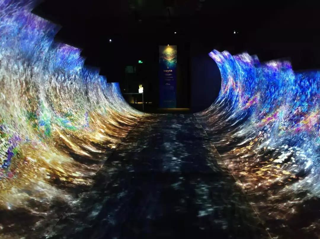 垂直沉浸式艺术展「如海·空间」 在423米高空邂逅梦幻深海