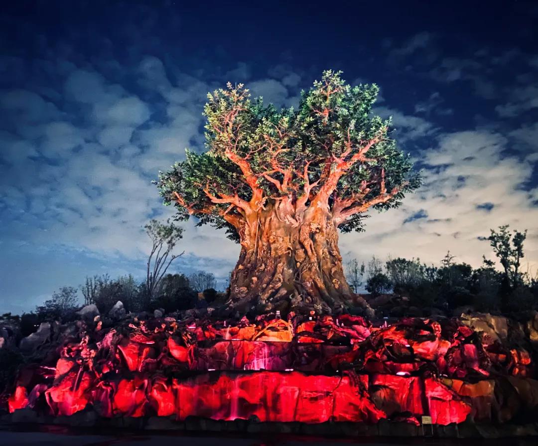 河南郑州银基动物王国上演灯光投影秀奇境森林