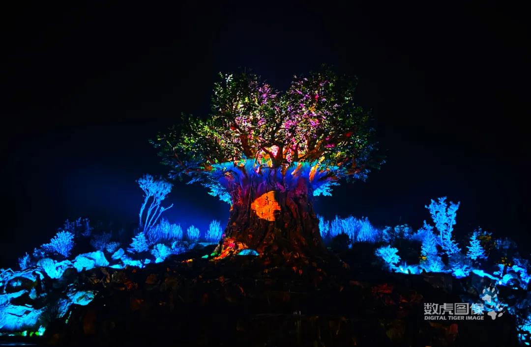 河南郑州银基动物王国上演灯光投影秀奇境森林
