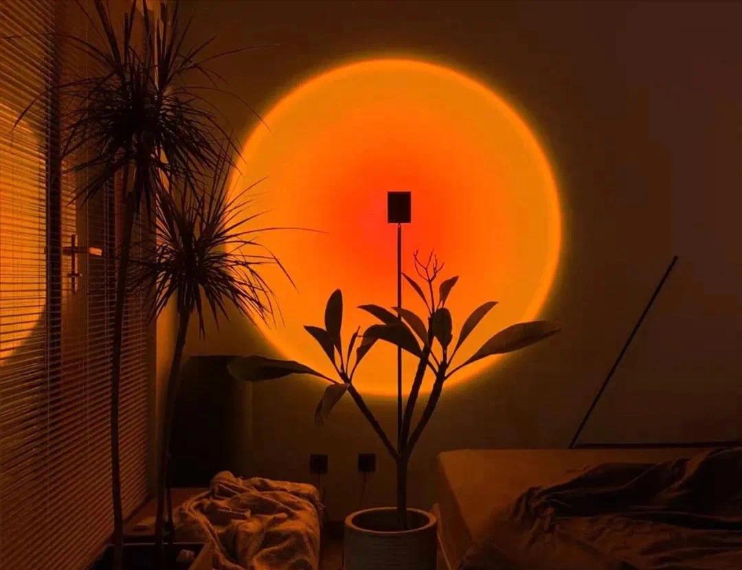 haloedition把落日请回家