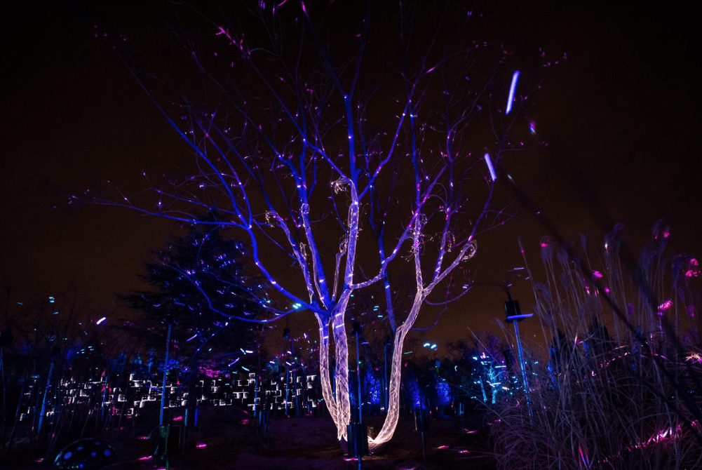 超炫酷2021北京国际光影艺术季亮相玉渊潭