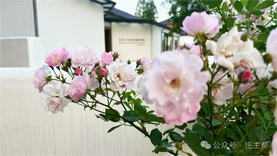 图片 图片